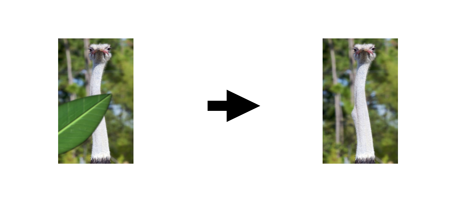 Ostrich Example