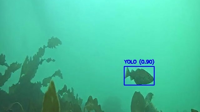 PIRATE detector output example
