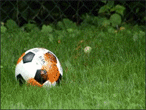 Contextual Emergence of Object Saliency