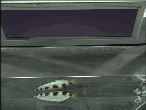 Archerfish Vision