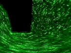Polar Representation of Motion and Optical Flow